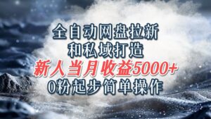 全自动网盘拉新和私域打造，0粉起步简单操作，新人入门当月收益5000以上-中创网_分享创业项目_助您在家赚钱