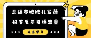 恶搞容嬷嬷扎紫薇短视频，极度反差引爆流量-中创网_分享创业项目_助您在家赚钱