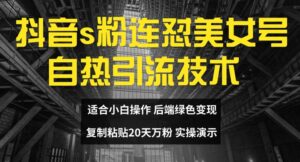 抖音s粉连怼美女号自热引流技术复制粘贴,20天万粉账号,无需实名制,矩阵操作【揭秘】-中创网_分享创业项目_助您在家赚钱