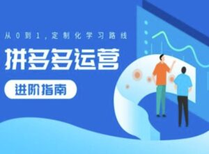 拼多多运营进阶指南,从0到1定制化学习路线-中创网_分享创业项目_助您在家赚钱