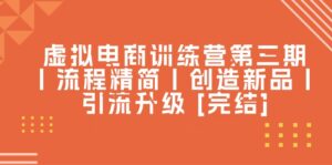 虚拟电商训练营第三期丨流程精简丨创造新品丨引流升级 [完结]-中创网_分享创业项目_助您在家赚钱