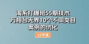 淘系打爆班55期技术：万相台无界10个不同类目案例的优化（10节）-中创网_分享创业项目_助您在家赚钱