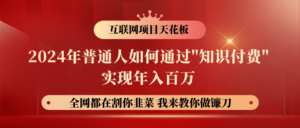 2024年平常人怎样通过"社交电商"月入十万年收入百万,实现财务自由-中创网_分享创业项目_助您在家赚钱