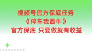 视频号官方保底任务，停车我最牛，官方保底只要做就有收益【揭秘】-中创网_分享创业项目_助您在家赚钱