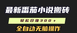 全新番茄小说打金,日撸300 ,自动式实际操作,可引流矩阵变大-中创网_分享创业项目_助您在家赚钱
