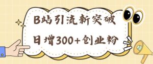 B站引流新突破:24年日增300+创业粉的高效攻略-中创网_分享创业项目_助您在家赚钱