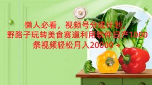 懒人神器必读,微信视频号分为方案,歪门邪道轻松玩特色美食跑道利用计算机,日产100条短视频-中创网_分享创业项目_助您在家赚钱