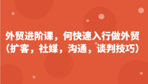 外贸进阶课,帮助你了解如何快速入行做外贸(扩客,社媒,沟通,谈判技巧)更新180节-中创网_分享创业项目_助您在家赚钱