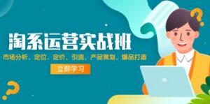 (12186期)淘系运营实战班:市场分析、定位、定价、引流、产品策划,爆品打造-中创网_分享创业项目_助您在家赚钱