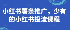 小红书薯条推广,少有的小红书投流课程-中创网_分享创业项目_助您在家赚钱