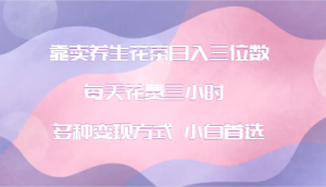 靠卖养生花茶日入三位数，每天花费三小时 多种变现方式 小白首选-中创网_分享创业项目_助您在家赚钱