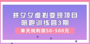 黄岛主《拼夕夕虚拟变现项目陪跑训练营3期》单天纯利润50-500元-中创网_分享创业项目_助您在家赚钱