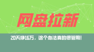 （12294期）网盘拉新+私域运营玩法，零基础入门，小白可操作，当天见效，日入5000+-中创网_分享创业项目_助您在家赚钱