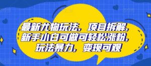 最新尤物玩法，项目拆解，新手小白可做可轻松涨粉，玩法暴力，变现可观-中创网_分享创业项目_助您在家赚钱