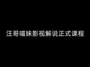 汪哥影视解说正式课程:剪映/PR教学/视解说剪辑5大黄金法则/全流程剪辑7把利器等等-中创网_分享创业项目_助您在家赚钱