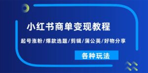 小红书商单变现教程:起号涨粉/爆款选题/剪辑/蒲公英/好物分享/各种玩法-中创网_分享创业项目_助您在家赚钱