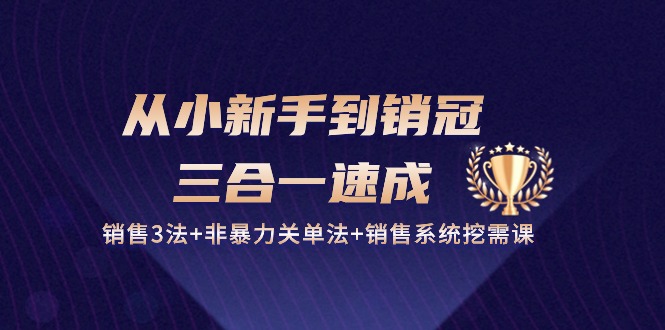 从小新手到销冠三合一速成：销售3法+非暴力关单法+销售系统挖需课 (27节)-中创网_分享创业项目_助您在家赚钱