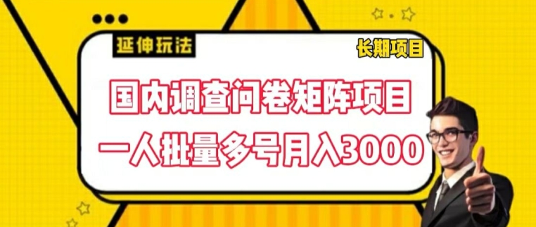 国内调查问卷矩阵项目，一人批量多号月入3000【揭秘】-中创网_分享创业项目_助您在家赚钱