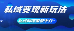 （12089期）私域变现新玩法，网课家教中介，只做渠道和流量，让大学生给你打工、0…-中创网_分享创业项目_助您在家赚钱