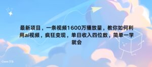 最新项目,一条视频1600万播放量,教你如何利用 ai视频,疯狂变现,简单一学就会-中创网_分享创业项目_助您在家赚钱
