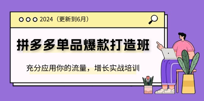 图片[1]-2024拼多多单品爆款打造班，充分应用你的流量，增长实战培训(更新6月)