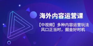 海外内容运营课【中视频】多种内容运营玩法 风口正当时 掘金好时机(101节)-中创网_分享创业项目_助您在家赚钱
