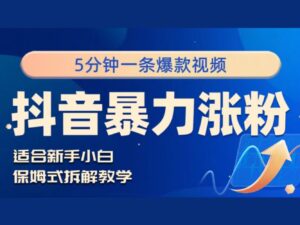 抖音暴力涨粉野路子,五分钟一条视频,适合新手小白!-中创网_分享创业项目_助您在家赚钱
