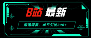 (12085期)B站最新,搬运混剪,单日引流300+创业粉-中创网_分享创业项目_助您在家赚钱