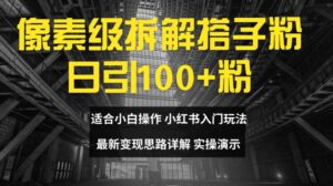 像素级拆卸搭子粉,日引100 ,新手看了可入门,全新转现构思详细说明【揭密】-中创网_分享创业项目_助您在家赚钱