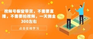 视频号橱窗带货,不需要直播,不需要拍视频,一天佣金300左右-中创网_分享创业项目_助您在家赚钱