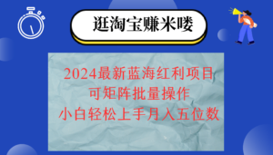 (12033期)2024淘宝蓝海红利项目,无脑搬运操作简单,小白轻松月入五位数,可矩阵…-中创网_分享创业项目_助您在家赚钱
