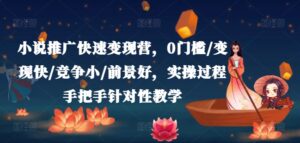 小说推广快速变现营,0门槛/变现快/竞争小/前景好,实操过程手把手针对性教学-中创网_分享创业项目_助您在家赚钱
