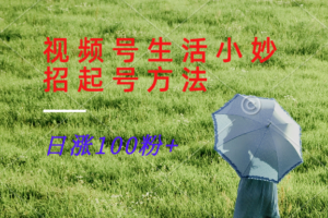 视频号生活小妙招分享赛道, 起号涨粉新方法,日涨100粉-中创网_分享创业项目_助您在家赚钱