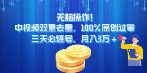 (11353期)无脑操作!中视频双重去重,100%原创过审,三天必爆号,月入3万+-中创网_分享创业项目_助您在家赚钱