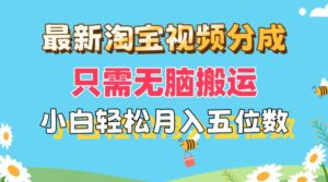 (11744期)最新淘宝视频分成,只需无脑搬运,小白也能轻松月入五位数,可矩阵批量…-中创网_分享创业项目_助您在家赚钱