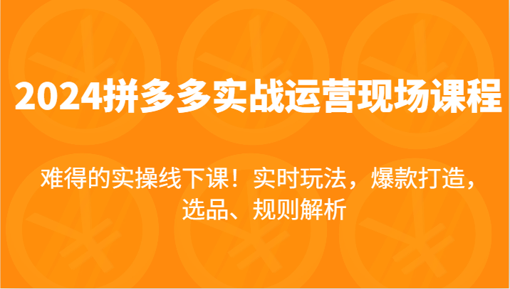 图片[1]-2024拼多多平台实战演练经营当场课，即时游戏玩法，爆款打造，选款、标准分析，不可多得的实际操作面授课！