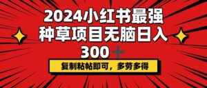 （12336期）2024小红书最强种草项目，无脑日入300+，复制粘帖即可，多劳多得-中创网_分享创业项目_助您在家赚钱