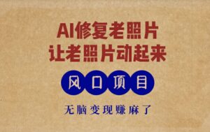 全新蓝海项目,AI一键修复旧照片,让老照片动起来,接单子到手软,没脑子转现赚麻木了-中创网_分享创业项目_助您在家赚钱