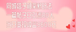 同城搭子相亲新玩法一篇帖子引流80人当日变现3600元(项目教程+实操教程)【揭秘】-中创网_分享创业项目_助您在家赚钱