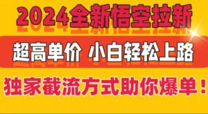 2024全新升级孙悟空引流,极高价格,独家代理截留方法帮助你打造爆款,新手快速上手-中创网_分享创业项目_助您在家赚钱