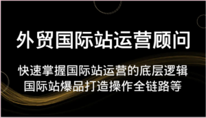 外贸国际站运营顾问-快速掌握国际站运营的底层逻辑,国际站爆品打造操作全链路等-中创网_分享创业项目_助您在家赚钱