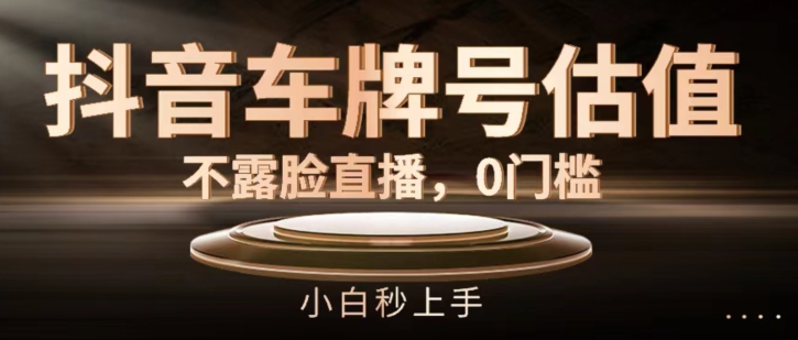抖音车型号公司估值，不露脸直播，0门坎，新手秒入门【揭密】-中创网_分享创业项目_助您在家赚钱