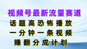 视频号最新流量赛道,话题高恐怖播放,一分钟一天视频,赚翻分成计划-中创网_分享创业项目_助您在家赚钱