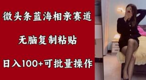 微头条蓝海相亲赛道,无脑复制粘贴,日入100+,可批量操作-中创网_分享创业项目_助您在家赚钱