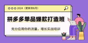 (11556期)2024拼多多平台-品类爆款打造班(升级6月),充分应用你的流量,提高实战培训-中创网_分享创业项目_助您在家赚钱