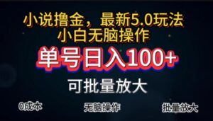 (11651期)自动式小说集撸金,运单号日入100 新手快速上手,没脑子实际操作-中创网_分享创业项目_助您在家赚钱