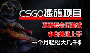 CSGO 装备搬砖项目,操作简单,不需要会玩游戏,小白也能快速上手,一个月轻松大几千【揭秘】-中创网_分享创业项目_助您在家赚钱