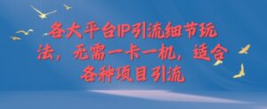 各大平台IP引流细节玩法，无需一卡一机，适合各种项目引流-中创网_分享创业项目_助您在家赚钱