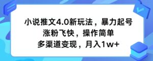 小说推文4.0新玩法,暴力起号,涨粉飞快,操作简单,多渠道变现,月入1w+-中创网_分享创业项目_助您在家赚钱