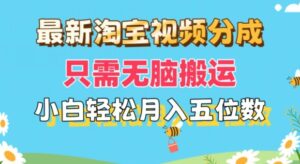 全新淘宝视频分为,仅需没脑子运送,新手都可以轻松月入五位数,可引流矩阵批量处理-中创网_分享创业项目_助您在家赚钱